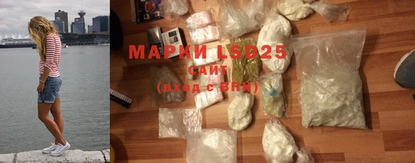 прущие грибы Вязьма