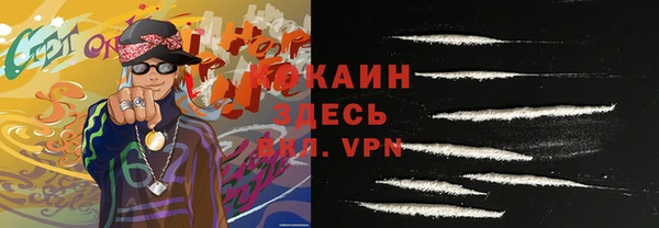 прущие грибы Вязьма