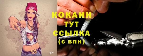 сатива Вязники