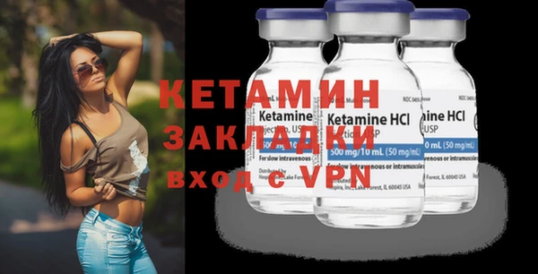 прущие грибы Вязьма