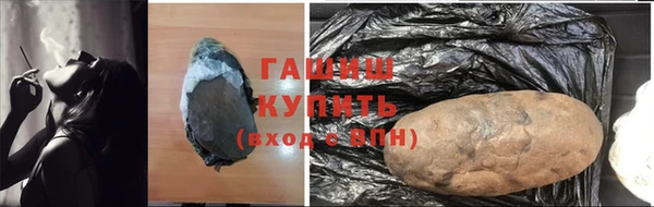прущие грибы Вязьма