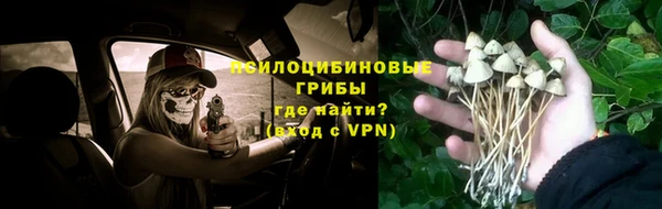 сатива Вязники