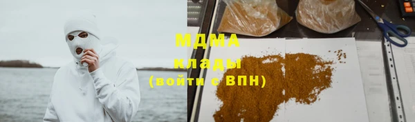 прущие грибы Вязьма