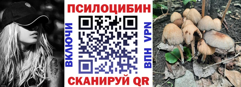 Псилоцибиновые грибы MAGIC MUSHROOMS  kraken ссылки  нарко площадка формула  Донской 